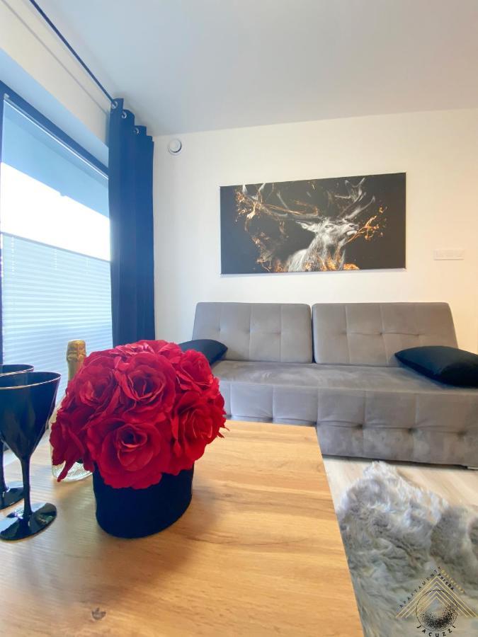 Apartment Szklarska - Zloty Jelen - Scisle Centrum Szklarska Poreba